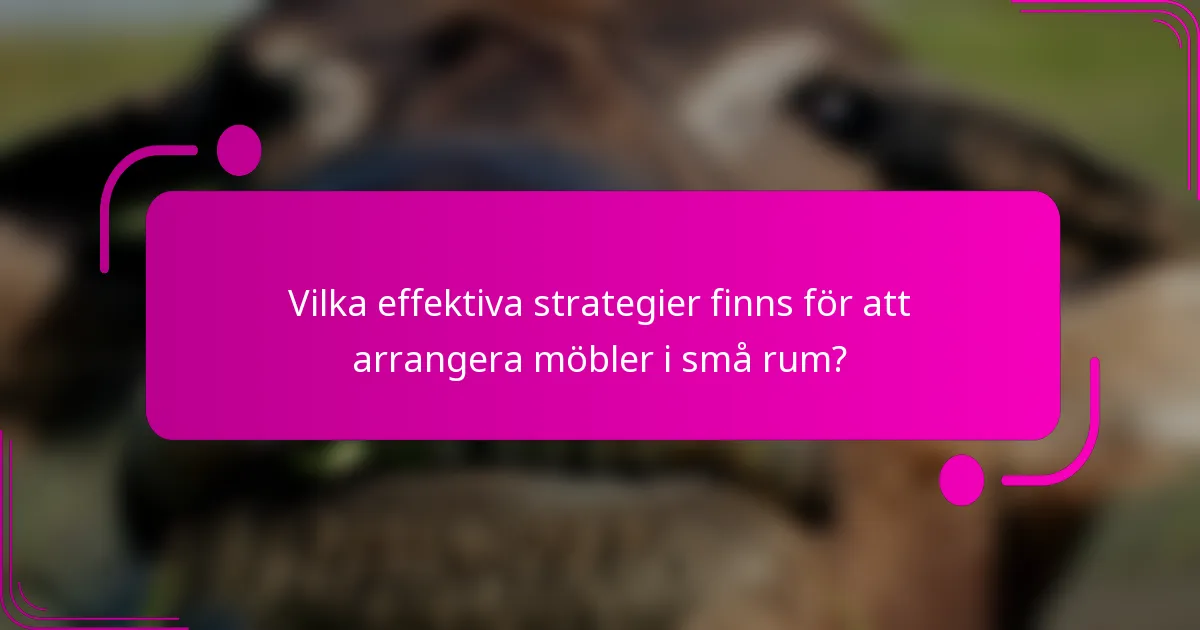 Vilka effektiva strategier finns för att arrangera möbler i små rum?